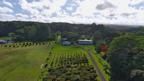 29-2098 MAMALAHOA HWY. - AERIAL VIDEO PREVIEW 3