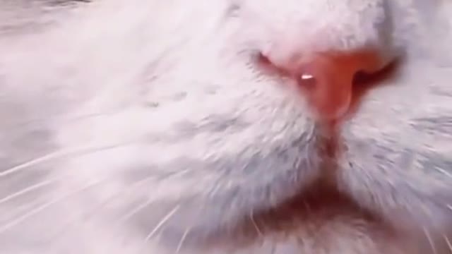 let our children see