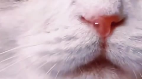 let our children see