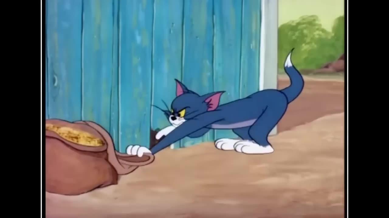 Tom and jerry new cartoon Episode