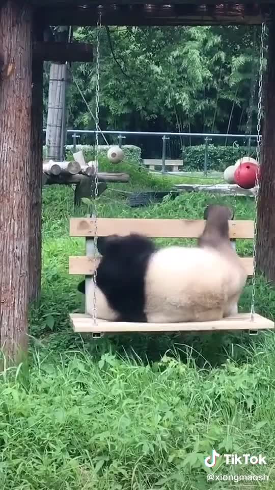 Panda: just give me a push