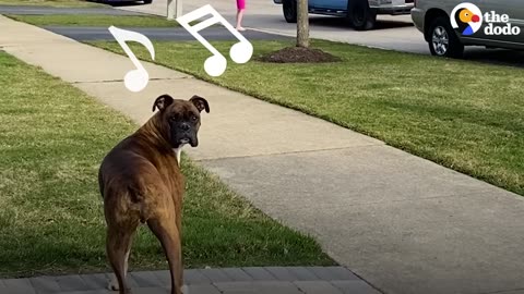 Baby Takes His First Steps Straight To His Dog | The Dodo