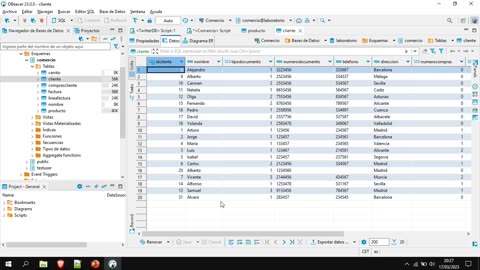 Lenguaje SQL y PostgreSQL parte 31. Triggers o disparadores, parte 2.