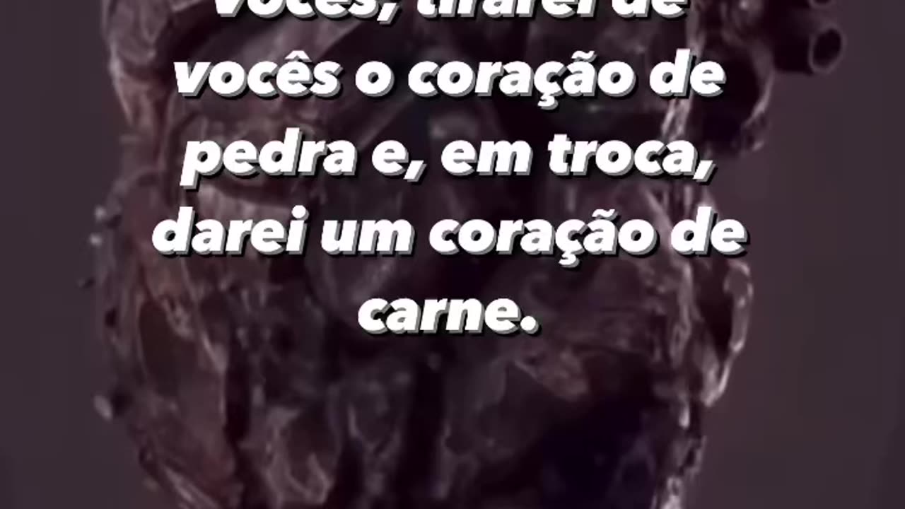 Como está seu coração??