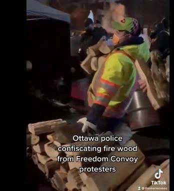 Now Ottawa police stealing firewood to freeze out children and parents to make them sick.