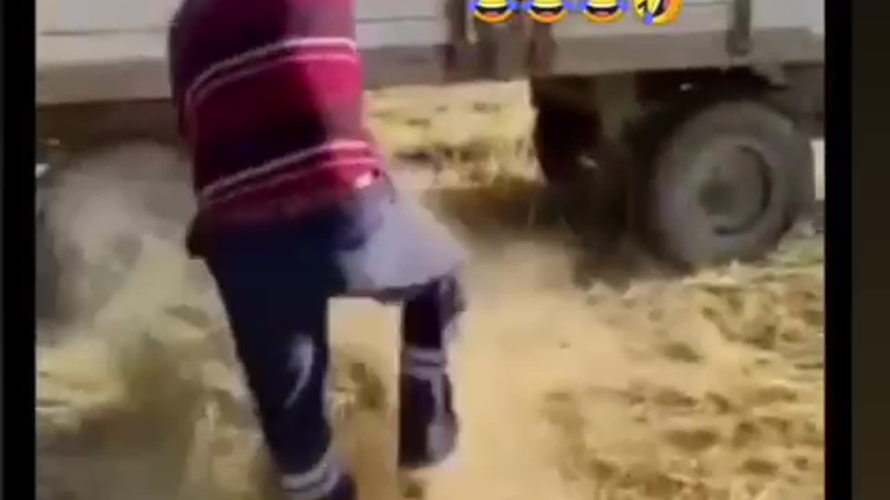Funniest playing videos