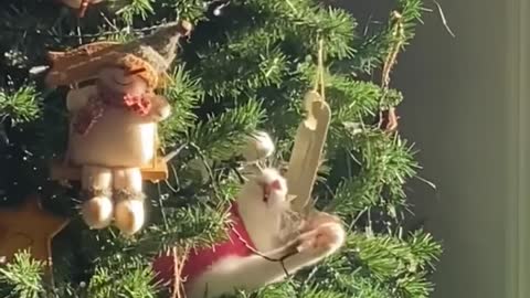 Cat Plays in Christmas Tree