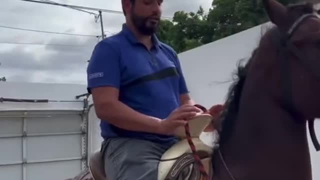 The daily routine of a riding instructor