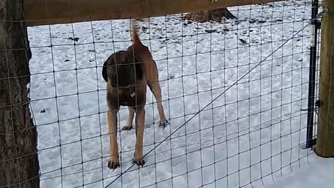 Kangals Alerting