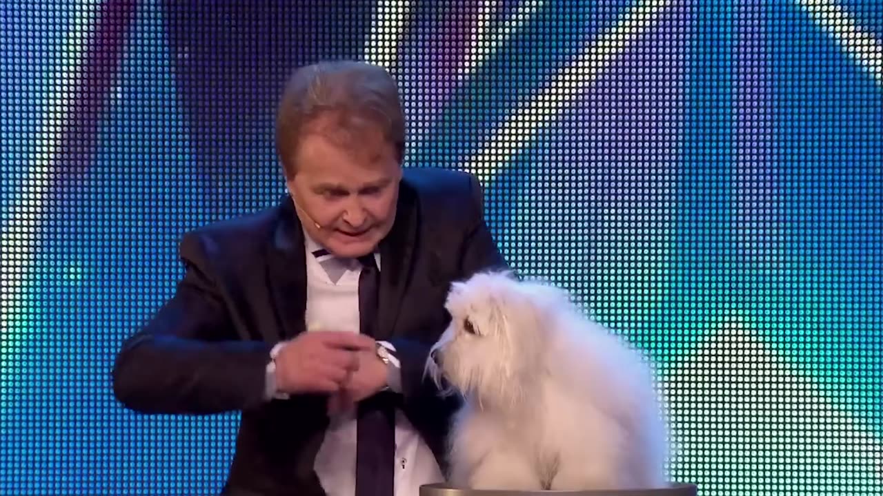 Marc Métral and his talking dog wow the Judges! | Britain's Got Talent Unforgettable Audition