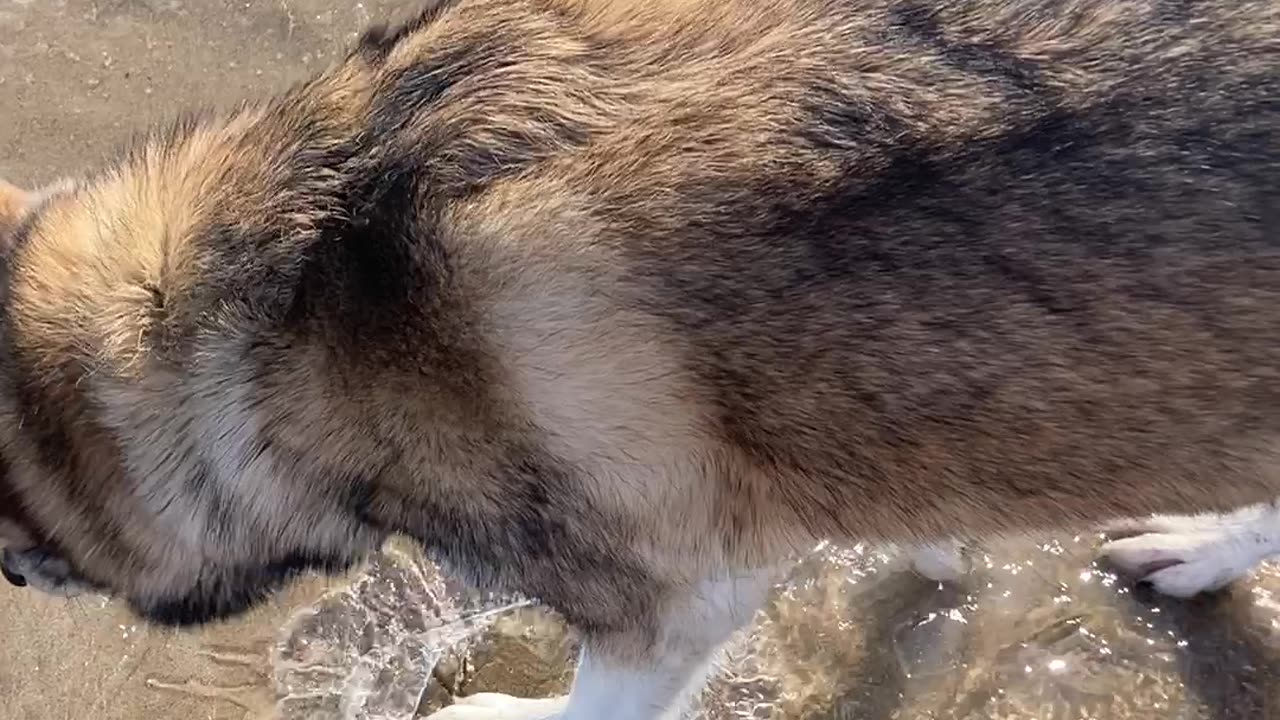 Springtime Ice Breaking