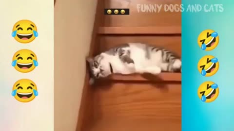 Funny videos 😂🤪😛 2022