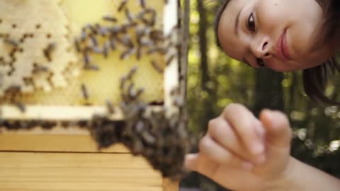 Machine learning is being used to save bees