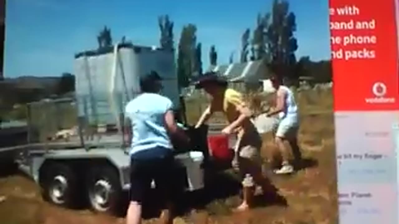 Rescuing The Fejoa Trees