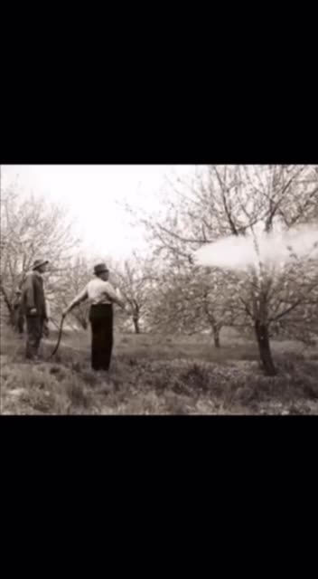 When people think the Polio epidemic was caused by a virus