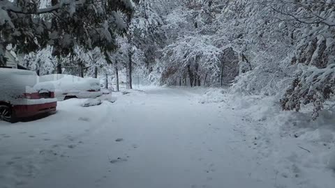 First day of snow