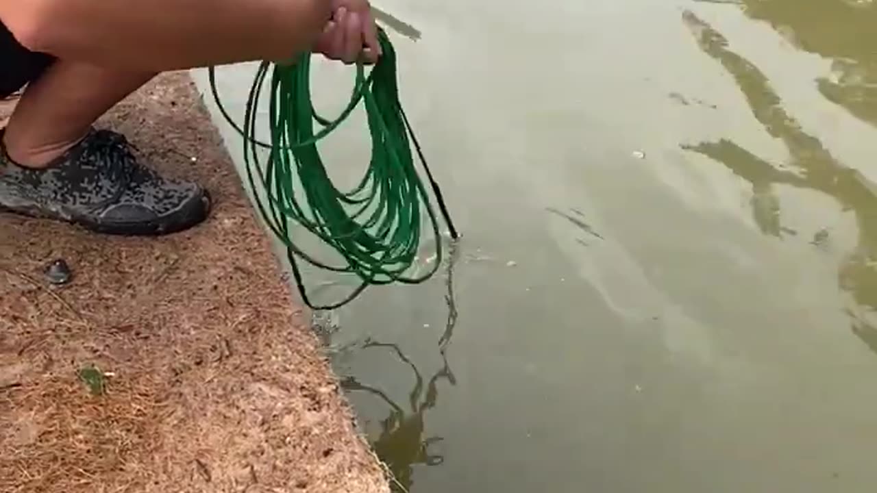 Successfully cast the net