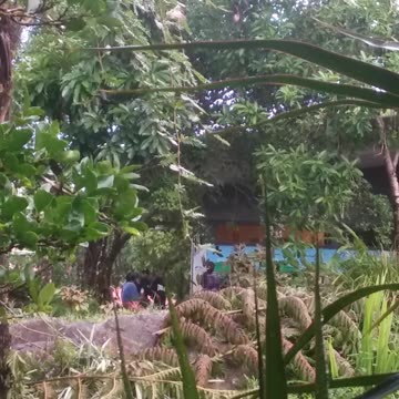 18.2.2024 Party in the Park