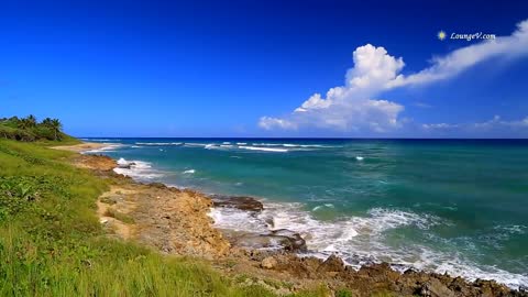 Tropical Ocean HD 1080p Video with Beach Sounds