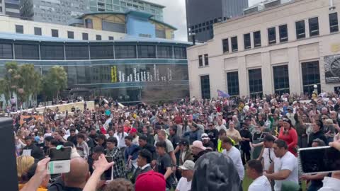 Freedom and Rights Protest ends with a Haka at Civic Square in Wellington on 30 Oct 2021