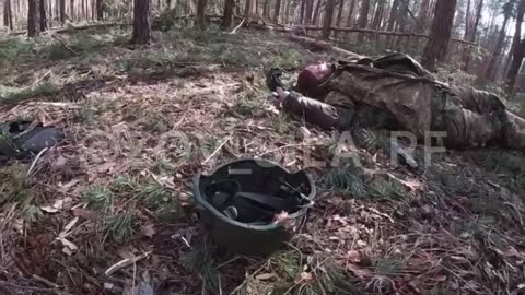 18+ Ukrainian soldiers