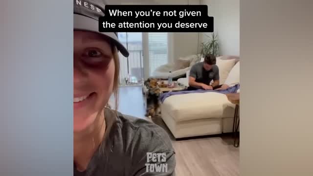 You Can't Stop Laughing At These Funny Dogs Reactions