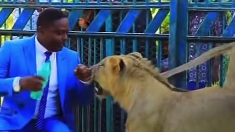 Man with a Lion in a cage in Africa