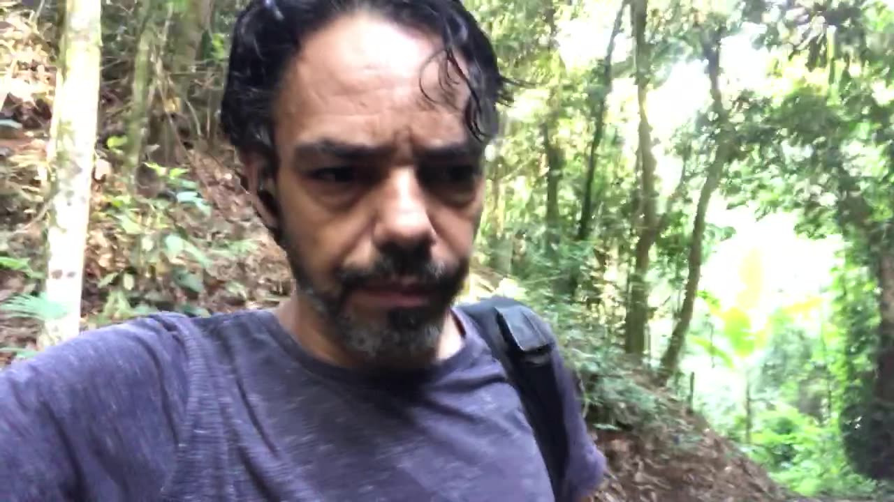 Tchau Liberdade!