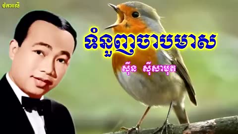 ទំនួញចាបមាស- ស៊ីន ស៊ីសាមុត