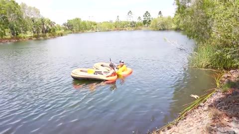 Swimming in Shark Infested Water!