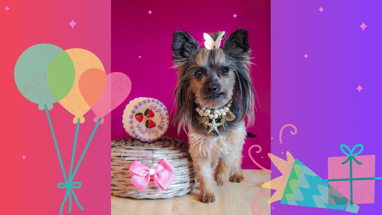 PUPPY HAPPY BIRTHDAY SONG! Funk Happy Birthday Music! Puppy Birthday! Funky Beats Pets Will Love!