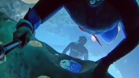 Diving in submarine caves without oxygen..