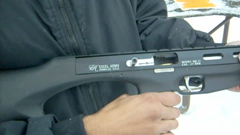 Excel Arms Accelerator Rifle 17 HMR 2