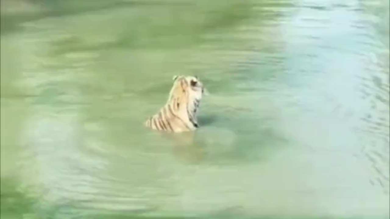 Where did my lunch go?π₯Ίπ³π§