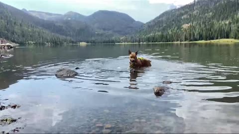 Beautiful spot for a swim.