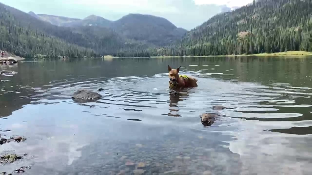 Beautiful spot for a swim.