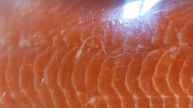 You Are What You Eat... and what eats you appreciates it
