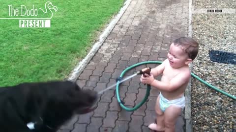 Babies Laughing At Pets |The Dodo Video