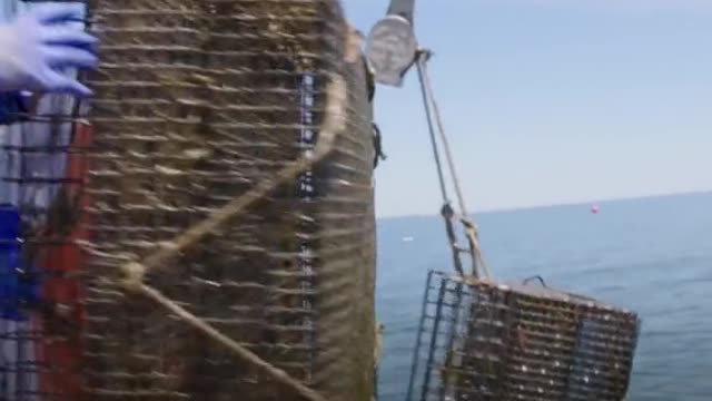 This Oyster Farm isRun Entirely by Women