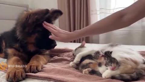 News Break!!! Play time.