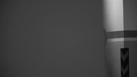 She Wasn’t Special Bro