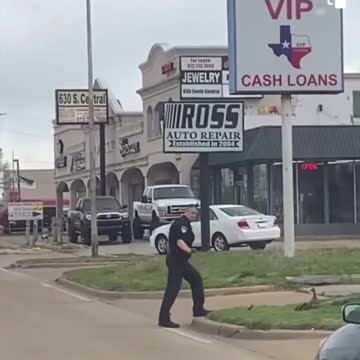 Texas: Richardson police helping mama duck & her babies cross the access road on 75