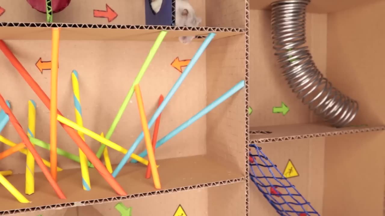 Hamster pats but with traps in maze par1