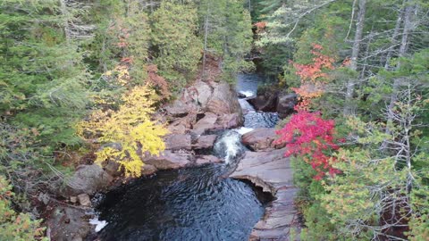 Attractive autumnal view