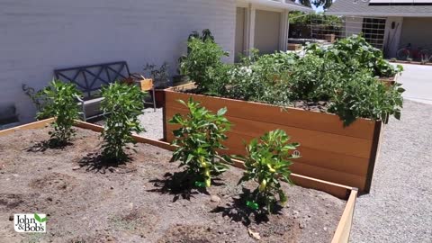 How To Fill A Raised Garden Bed and Save Money! (My 6 favorite Ingredients)