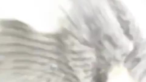 Comin in hot 🏃‍♂️