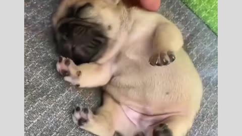 cutest little thing