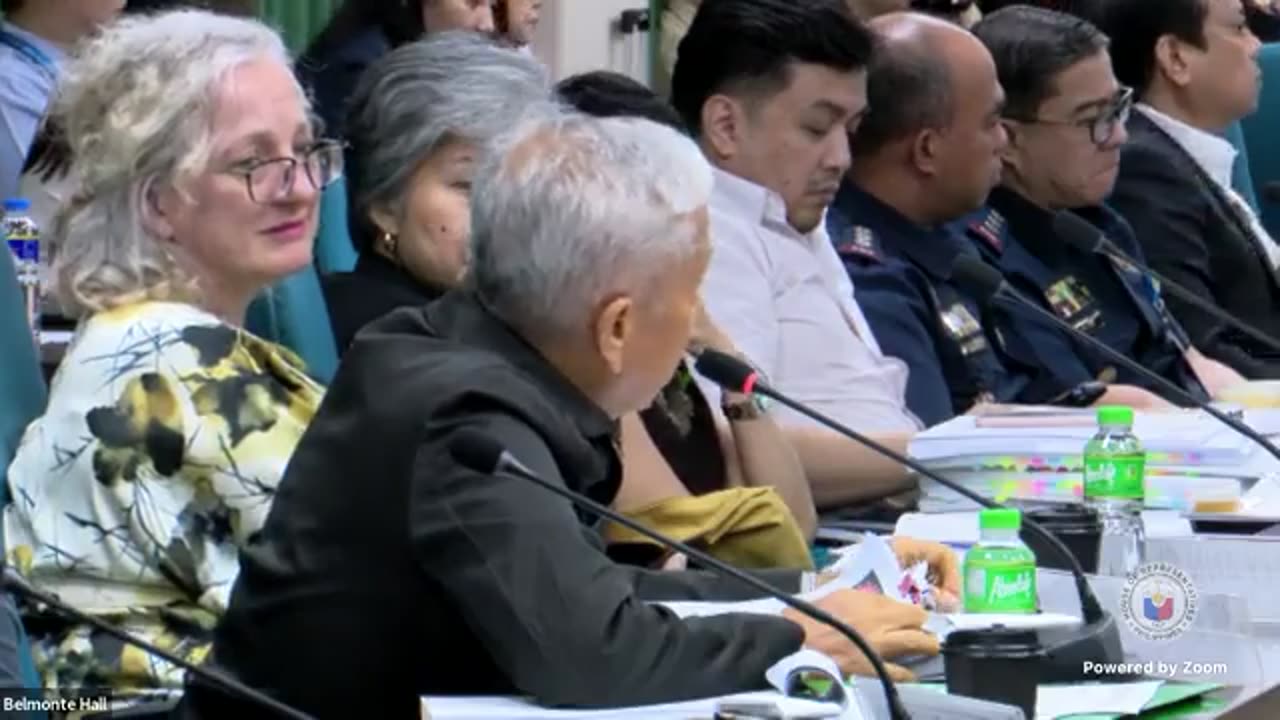 PH House of Representatives 2024/03/19 - PH Excess Deaths