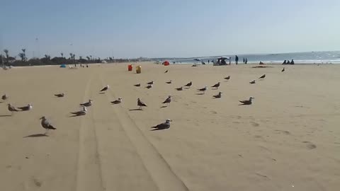 Agadir sea