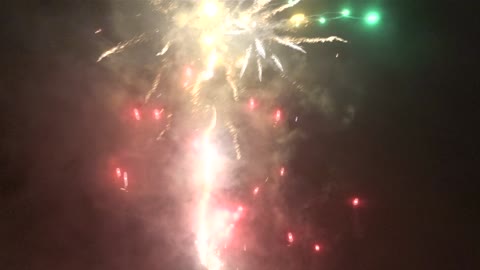 oudejaar 21-22 met konijntjes, lorie's, kanarie en vuurwerk!